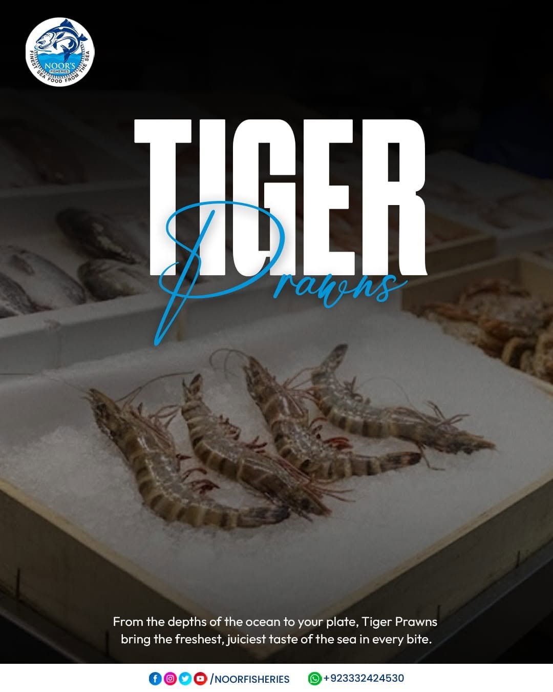 Noor Fisheries Processing