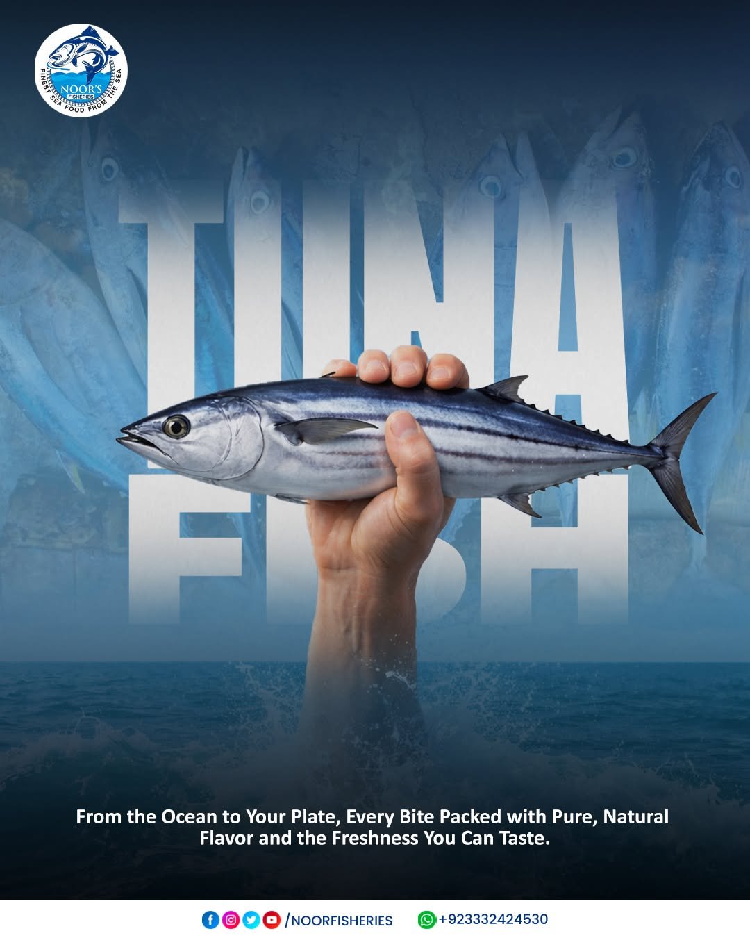 Noor Fisheries Quality Inspection